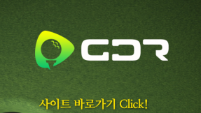 지디알(GDR) 토토사이트 간단 리뷰 | 공개 정보 부족으로 검증이 필요한 사이트