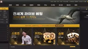 백호 lt-999.com 396만먹튀