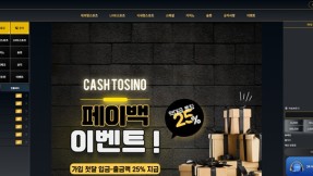캐시(cash-123.com) 먹튀 제보: 173만원 피해 사례 공개