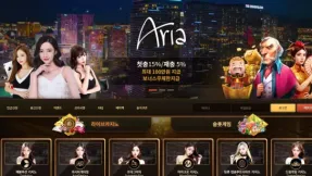 아리아카지노 먹튀 피해 사례: 254만 원 환전 거부 사건