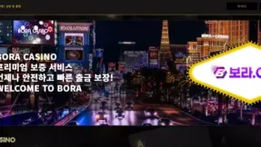 보라카지노(bora123.com) 먹튀 피해 사례 공개 - 300,000원 먹튀 주의!