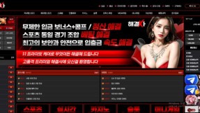 해결사 (hh-710.com) 먹튀 제보 – 276만원 정먹튀 사건 완벽 정리