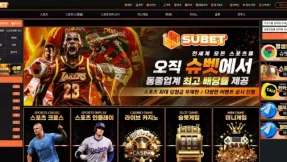 슈벳 먹튀 사례: sub-a2.com 도메인 197만원 피해 주의보