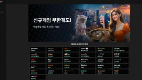 싱가폴 SINGAPORE 프로바이더 목록은 어디까지 공개되어 있을까?