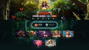 토토사이트 아마존 (AMAZONE)