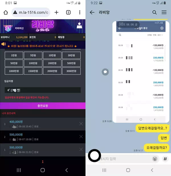 라비앙 먹튀 사이트 경고: 1,110,000원 피해 사례 상세