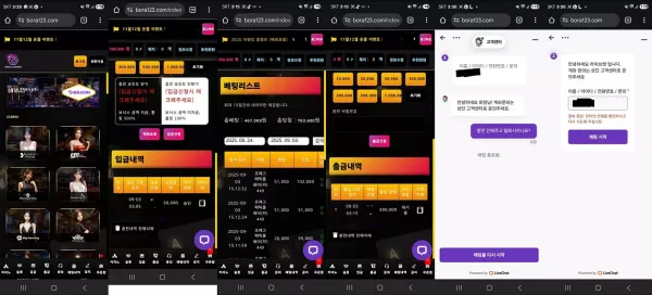 보라카지노(bora123.com) 먹튀 피해 사례 공개 - 300,000원 먹튀 주의!