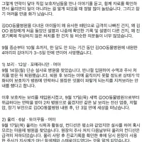 사설토토